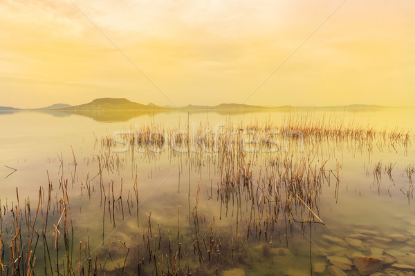 Hermosa puesta de sol lago Balaton agua luz Foto stock © Fesus