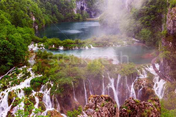Lluvioso día parque agua hoja montana Foto stock © Fesus