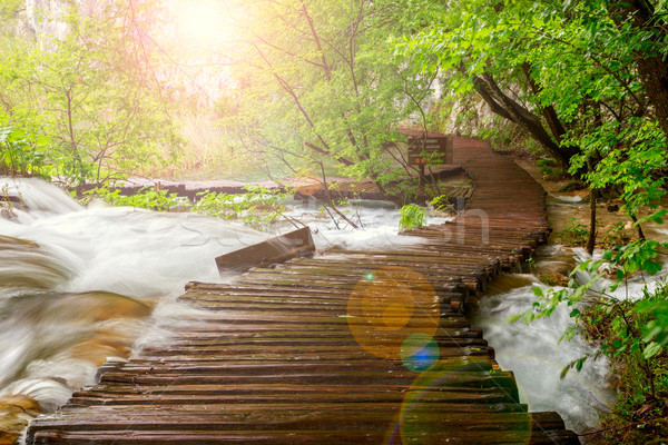 Wooden path in National Park in Plitvice Stock photo © Fesus