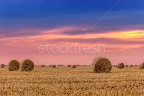 Straw bales with dramatic sky Stock photo © Fesus