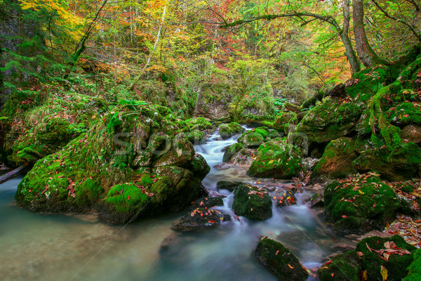 ストックフォト: 小川 · 深い · 山 · 森林 · 水 · 春