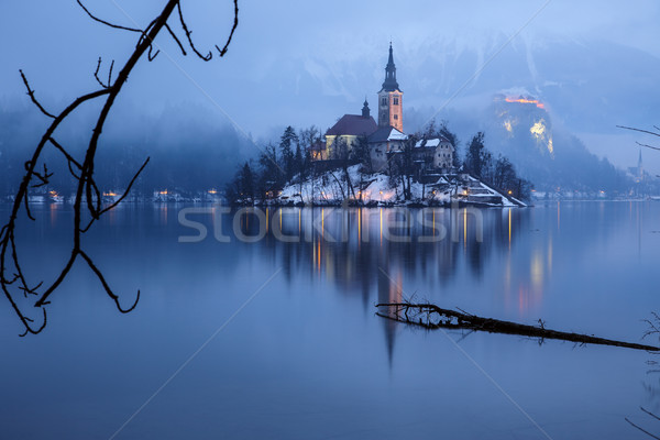 Lago invierno Eslovenia Europa día Foto stock © Fesus