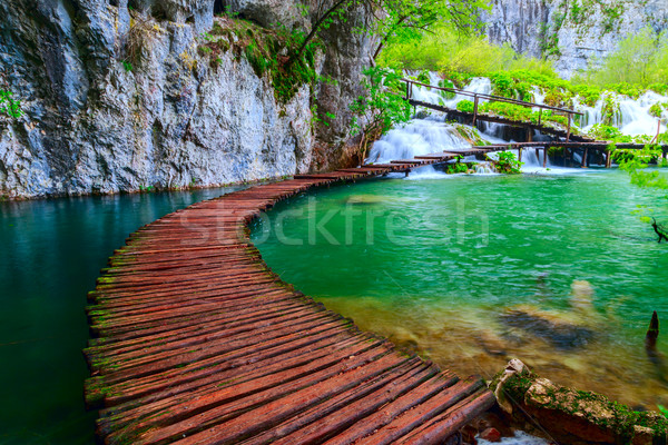 Fából készült út park víz tavasz fa Stock fotó © Fesus