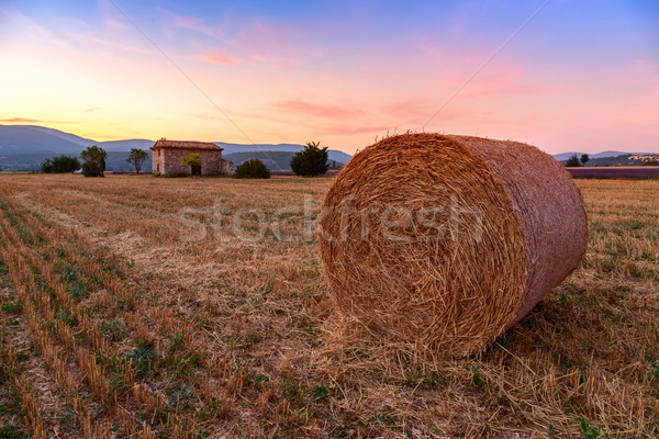 Stock fotó: Naplemente · farm · mező · széna · égbolt · tájkép