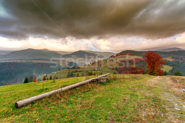 Stock photo: Wonderful autumn hillside in Transylvania