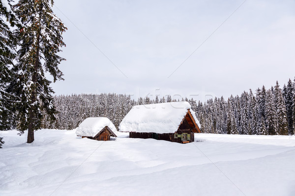 Stok fotoğraf: Kış · tatil · ev · Slovenya · alpler · ağaç