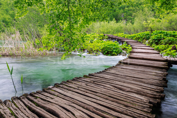 Camino parque agua primavera naturaleza Foto stock © Fesus