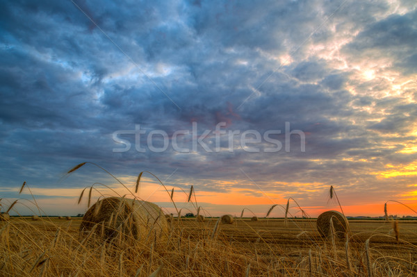 Puesta de sol granja campo heno rural carretera Foto stock © Fesus