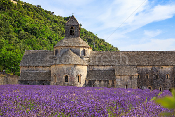 Stockfoto: Abdij · oude · klooster · gebouw · veld · kerk