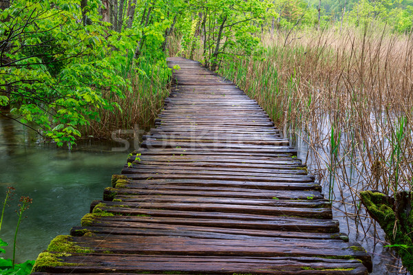 Boardwalk in the park Stock photo © Fesus