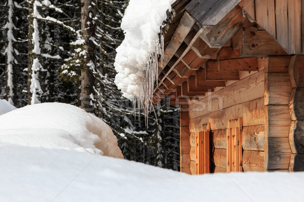 Winter forest in Alps Stock photo © Fesus