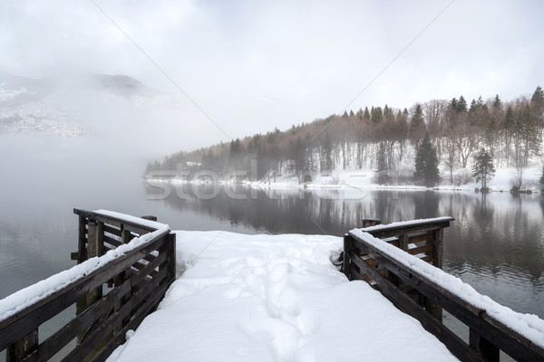 Invierno lago parque valle paisaje nieve Foto stock © Fesus