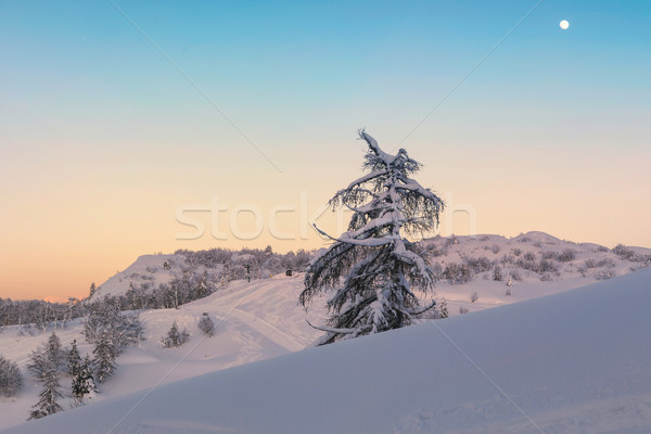 Varázslatos naplemente tél Alpok hegyek égbolt Stock fotó © Fesus