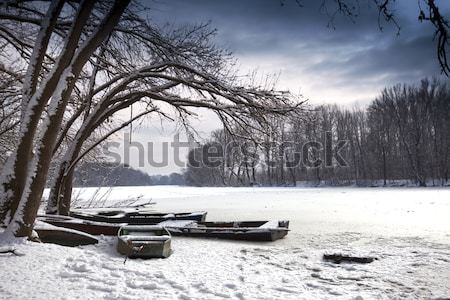 Invierno lago paisaje agua luz nieve Foto stock © Fesus