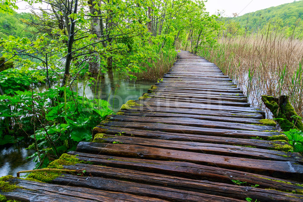 Boardwalk in the park Stock photo © Fesus
