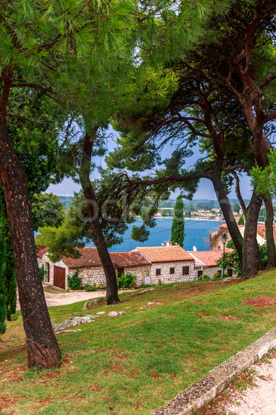 Adriatic sea view at Rovinj Stock photo © Fesus