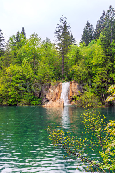 Waterfalls in Plitvice Stock photo © Fesus