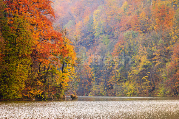 Autumn lake Hamori-Hungary Stock photo © Fesus