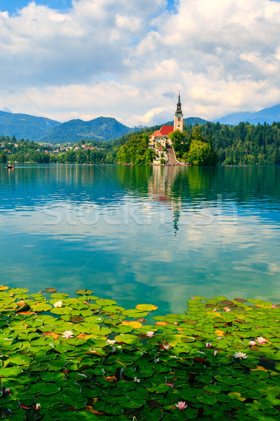 Bled lake, Slovenia, Europe Stock photo © Fesus