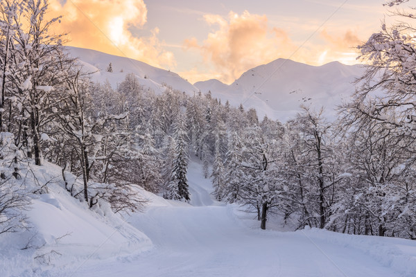 Invierno paisaje esquí centro montanas alpes Foto stock © Fesus