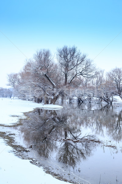 Winter landscape river Zagyva in Hungary Stock photo © Fesus