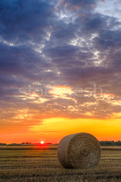 Coucher du soleil ferme domaine foin nuages nature [[stock_photo]] © Fesus