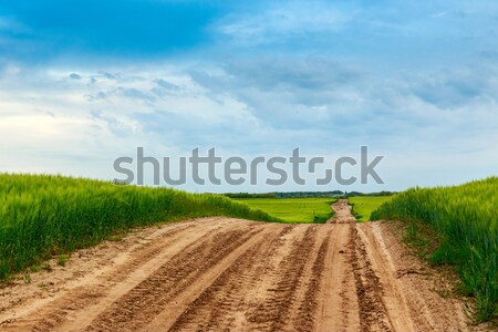 Verano pradera paisaje hierba verde carretera nubes Foto stock © Fesus