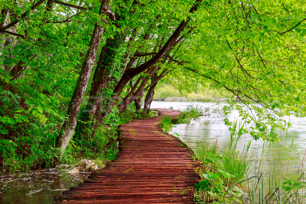 Camino parque agua primavera madera Foto stock © Fesus