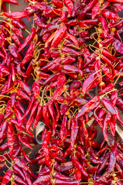 Hungary pepper Stock photo © Fesus