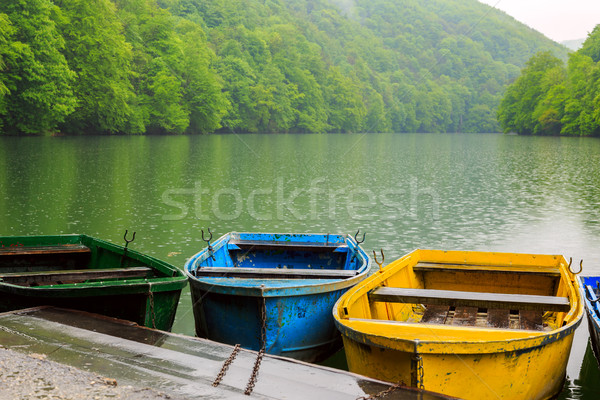 Bateaux lac eau arbre printemps bois [[stock_photo]] © Fesus