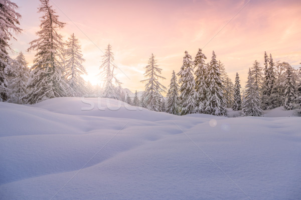 [[stock_photo]]: Hiver · paysage · ski · centre · montagnes · alpes