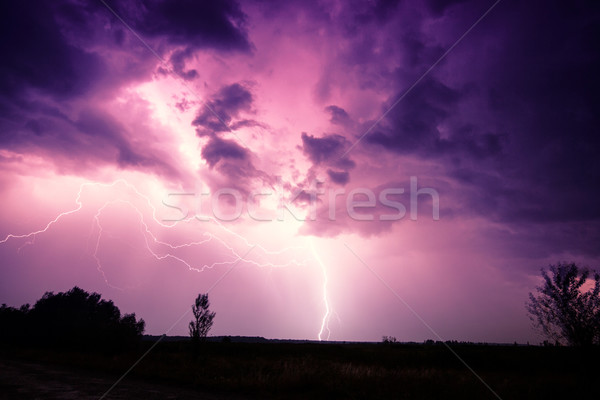 Nubi tuono tempesta Ungheria albero Foto d'archivio © Fesus