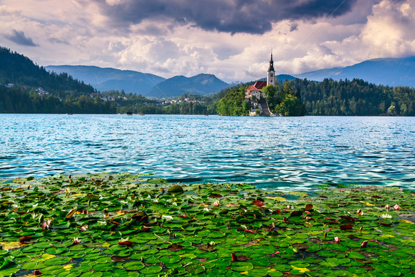 Bled with lake Stock photo © Fesus