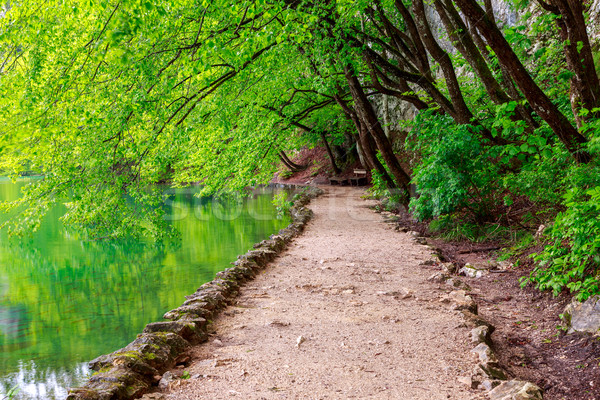 Stock photo: Path near a forest lake in Plitvice Lakes National Park