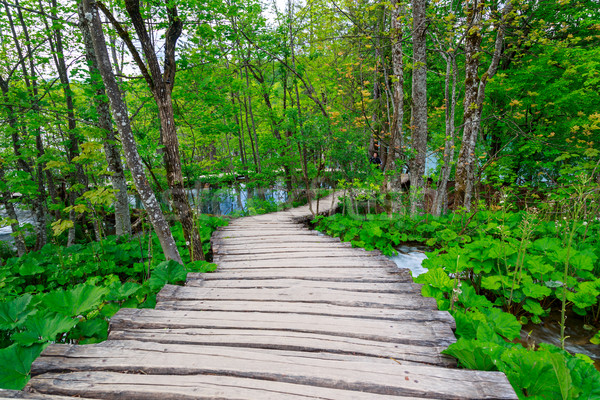 Stock photo: Boardwalk in the park Plitvice lakes
