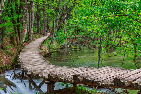 Spring forest creek in Plitvice National park Stock photo © Fesus