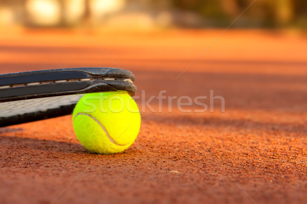 Tennisball Tennis Ton Gericht Sport Sommer Stock foto © Fesus