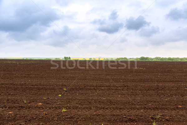 Farm field in spring Stock photo © Fesus