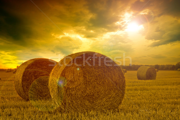 End of day over field with hay bale Stock photo © Fesus