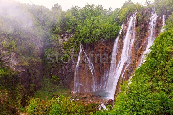 Kroatien Wald Kristall Wasser Natur Blatt Stock foto © Fesus