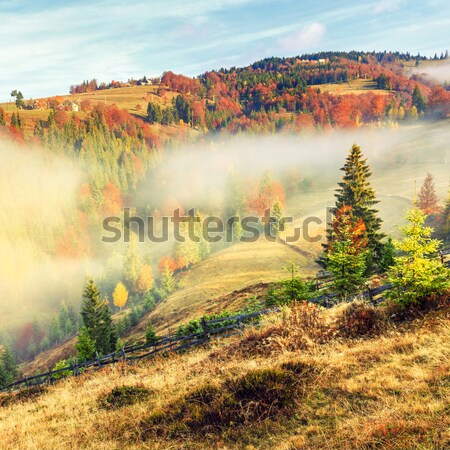 Foggy morning in Transylvania Stock photo © Fesus