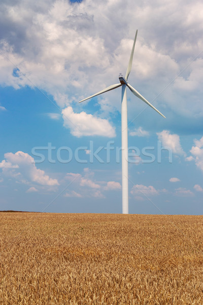 Stockfoto: Wind · Roemenië · technologie · veld · Blauw