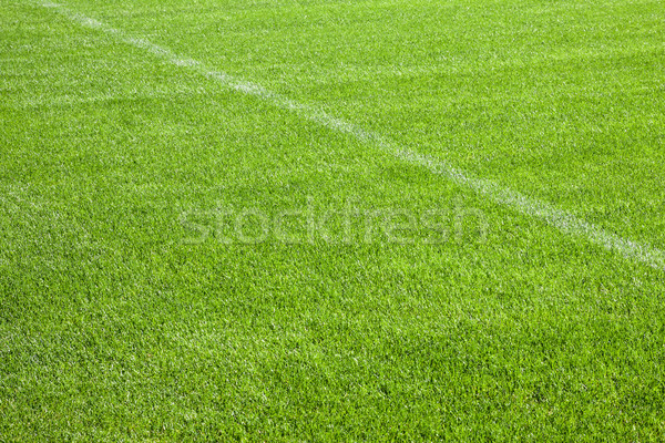 Football herbe sport résumé fond été [[stock_photo]] © Fesus