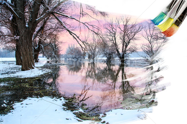 Künstler Pinsel Malerei Bild schönen Landschaft Stock foto © Fesus