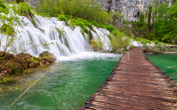 Camino parque agua primavera naturaleza Foto stock © Fesus