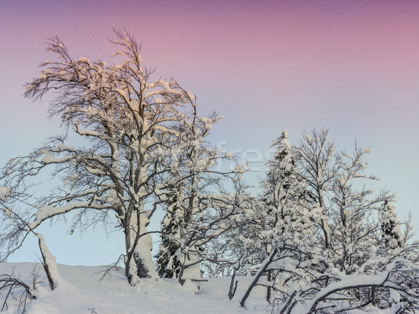 Invierno paisaje esquí centro montanas alpes Foto stock © Fesus