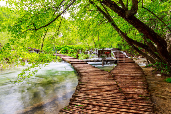 Caminho parque água primavera madeira Foto stock © Fesus
