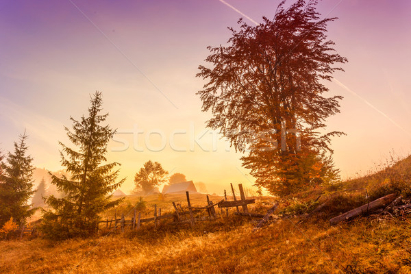 Colorful autumn landscape in the Carpathian mountains Stock photo © Fesus