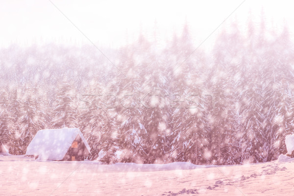 Snowy winter forest Stock photo © Fesus