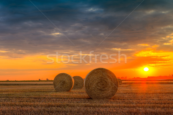 Zonsondergang boerderij veld hooi einde dag Stockfoto © Fesus